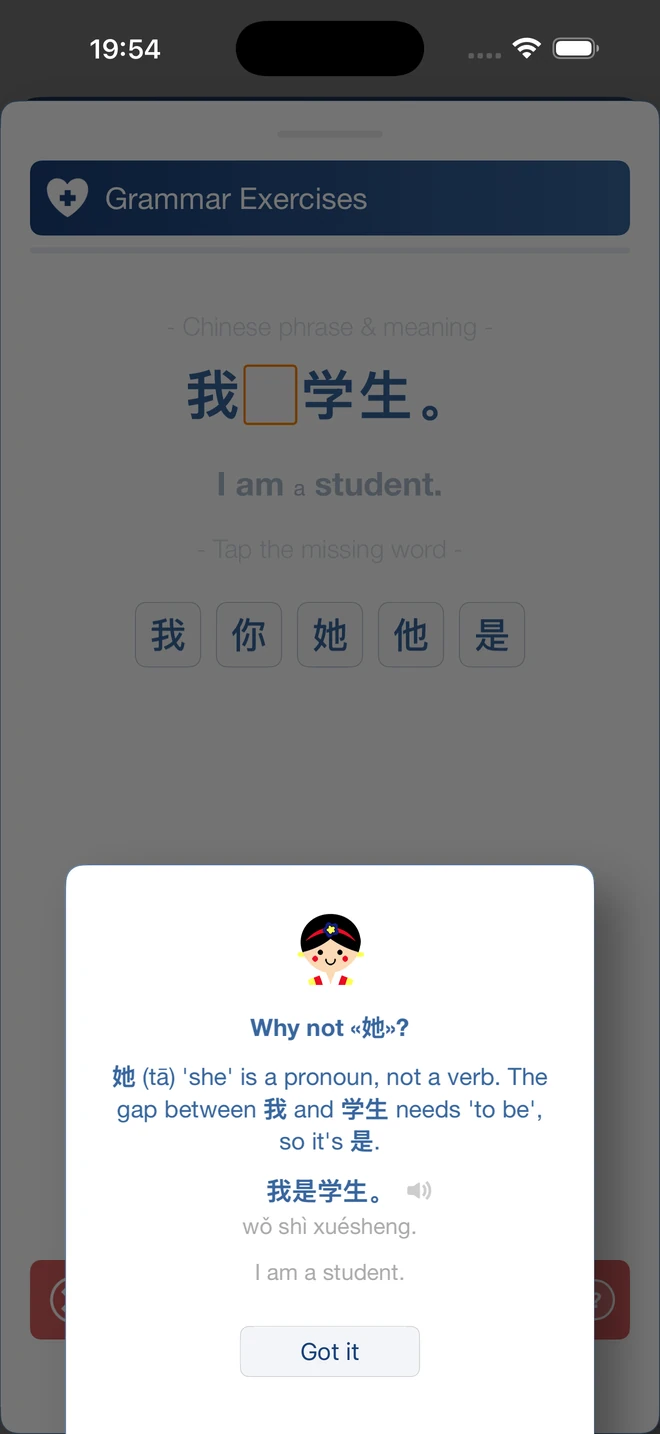 Why feedback explains why 是, not 她, completes 我是学生